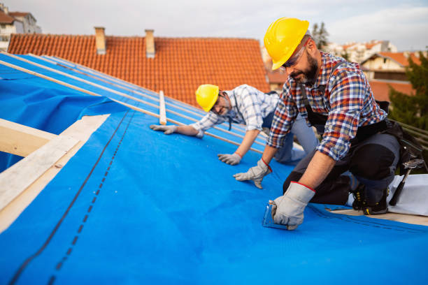 Best Storm Damage Roof Repair  in Taft, TX